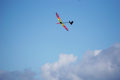 bamf2_flight.png